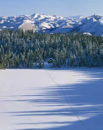 Snow field with forest and mountains in the background