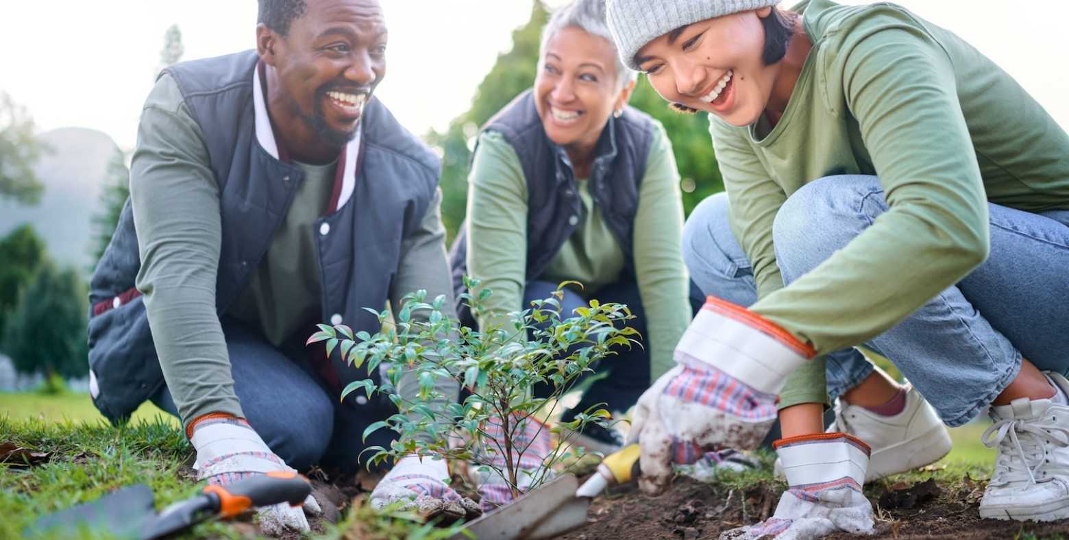 male and 2 females planting tree