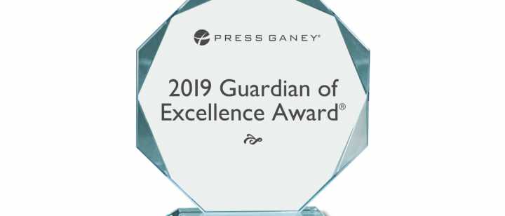 2019 Guardian of Excellence Award Image